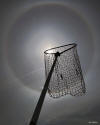 Sun with halo in haze with net foreground